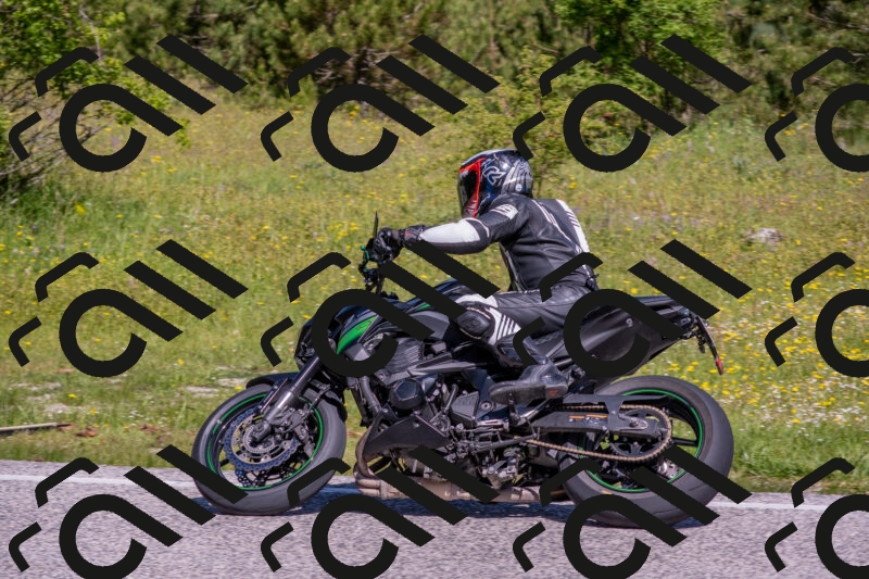 202506021035-DSC_7305_c4_