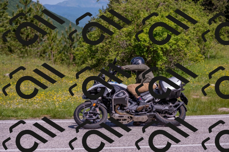 202506021035-DSC_7309_c4_