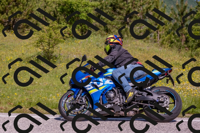 202506021035-DSC_7315_c4_