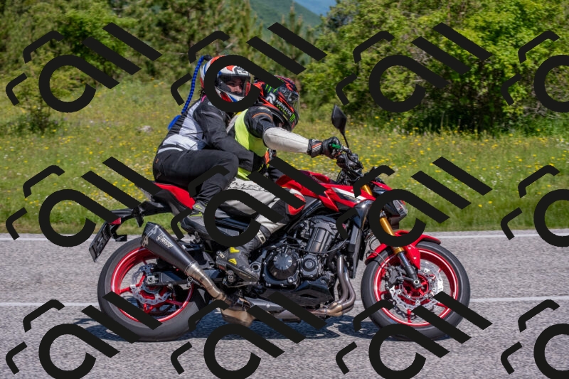 202506021036-DSC_7318_c4_