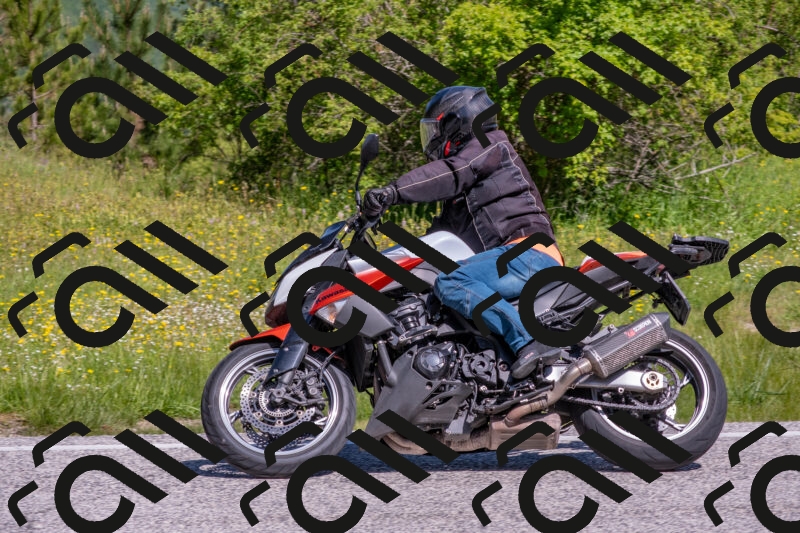 202506021036-DSC_7328_c4_