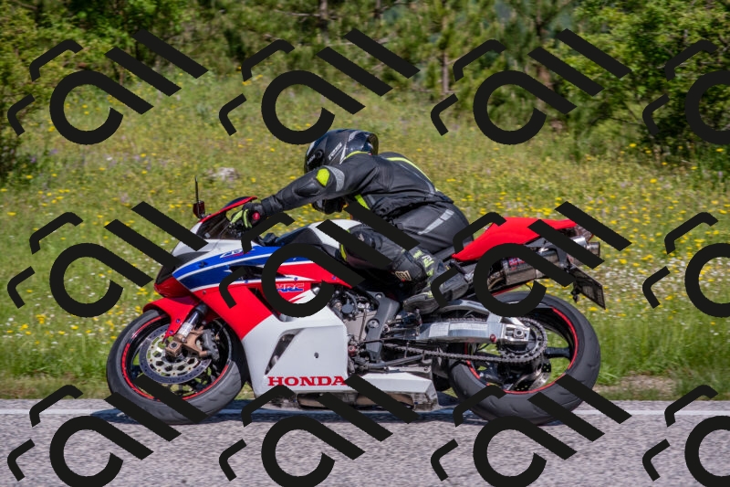 202506021036-DSC_7336_c4_