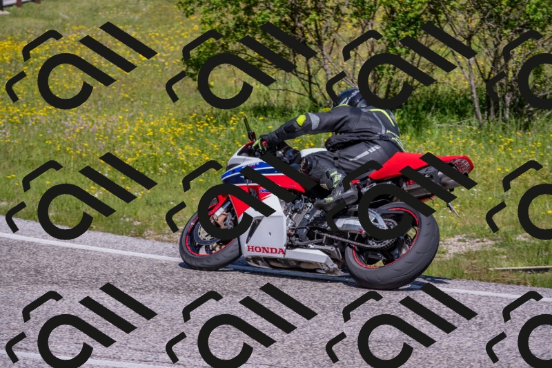 202506021036-DSC_7337_c4_