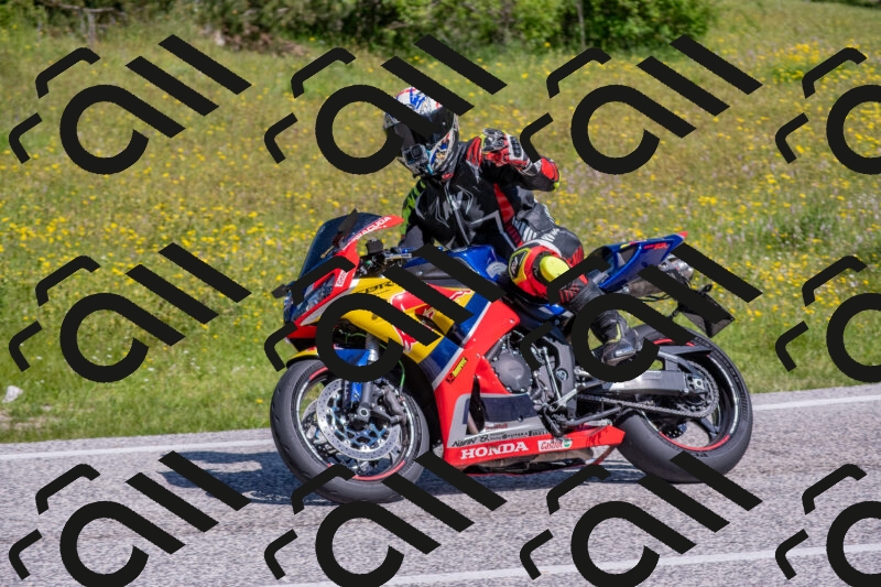 202506021037-DSC_7339_c4_