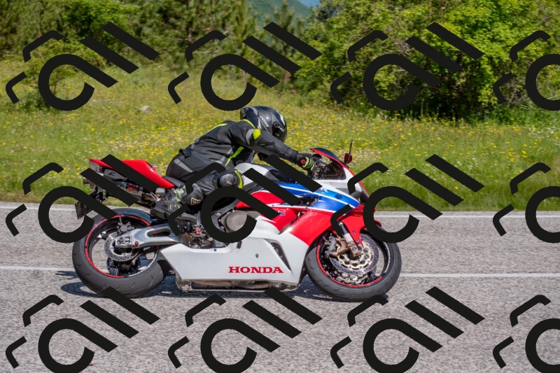 202506021039-DSC_7353_c4_