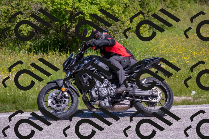 202506021039-DSC_7362_c4_