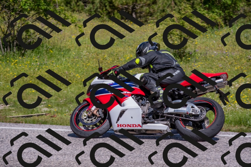 202506021039-DSC_7364_c4_