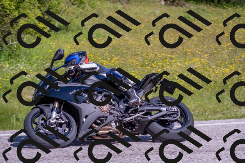 202506021039-DSC_7366_c4_