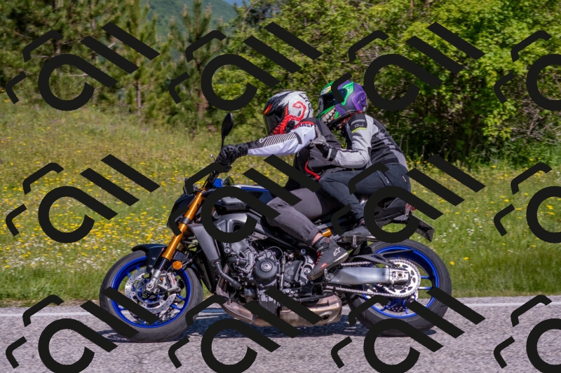 202506021040-DSC_7370_c4_