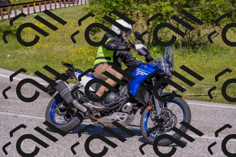 202506021040-DSC_7378_c4_