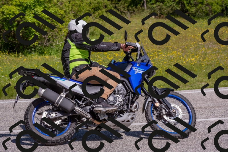 202506021040-DSC_7379_c4_