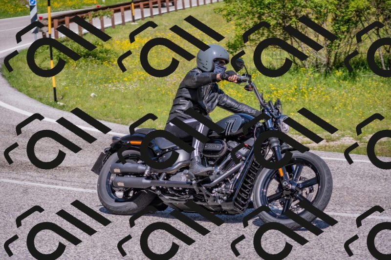 202506021040-DSC_7381_c4_