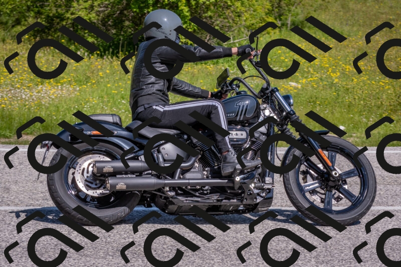 202506021040-DSC_7382_c4_