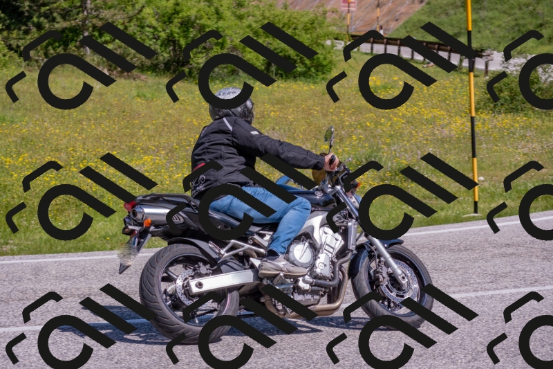 202506021041-DSC_7389_c4_