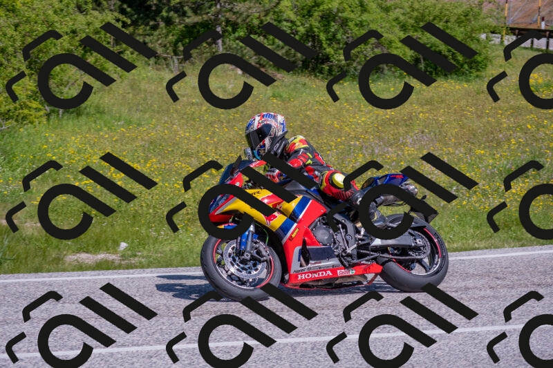 202506021041-DSC_7391_c4_