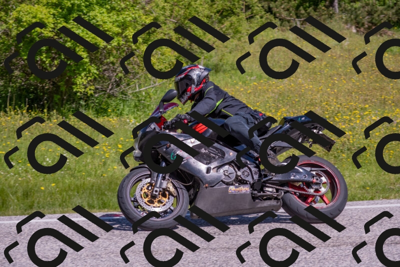 202506021042-DSC_7401_c4_