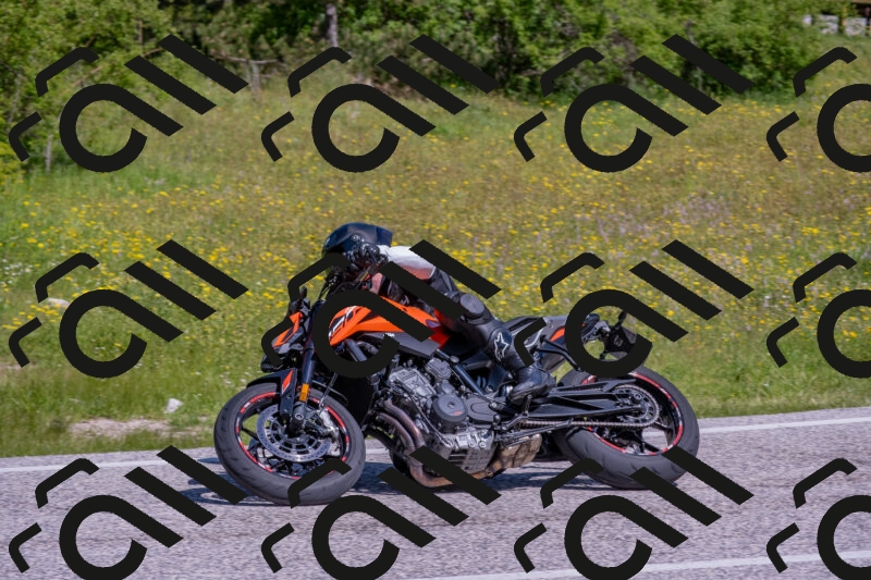 202506021042-DSC_7403_c4_