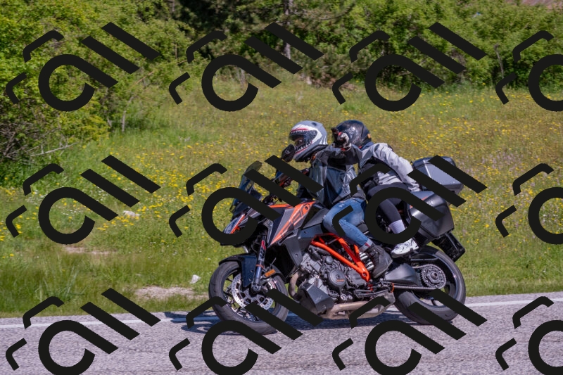 202506021042-DSC_7410_c4_