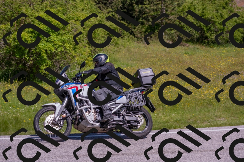 202506021042-DSC_7417_c4_