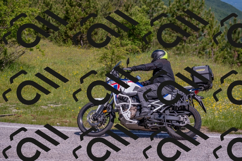 202506021042-DSC_7418_c4_