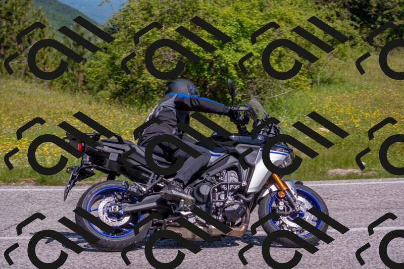 202506021043-DSC_7424_c4_