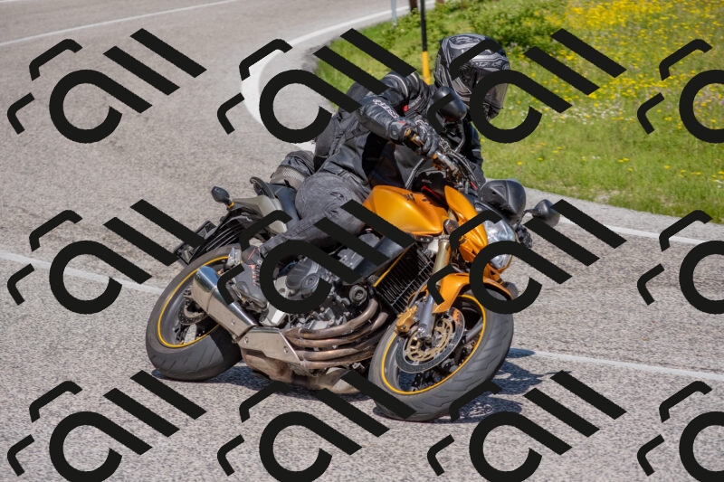 202506021044-DSC_7437_c4_