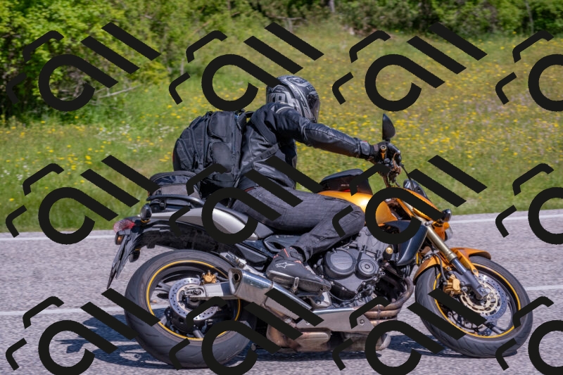 202506021044-DSC_7438_c4_