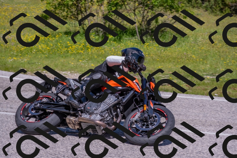 202506021044-DSC_7446_c4_