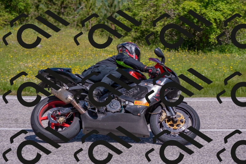 202506021045-DSC_7455_c4_