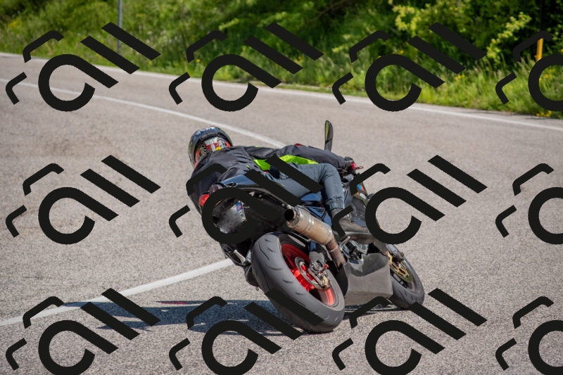 202506021045-DSC_7456_c4_