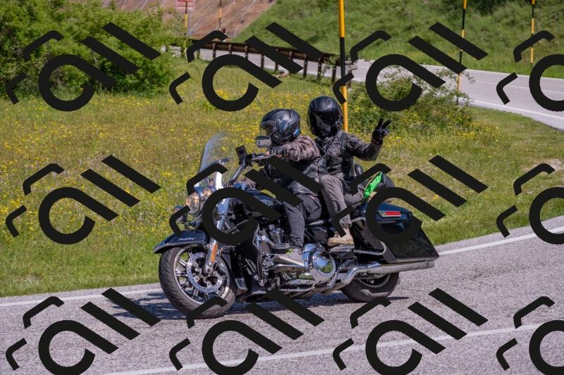 202506021045-DSC_7459_c4_