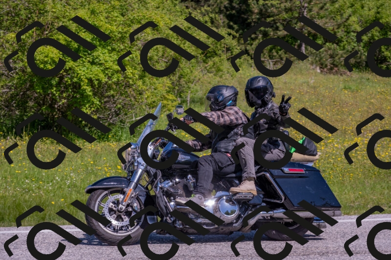 202506021045-DSC_7460_c4_