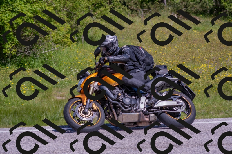 202506021045-DSC_7462_c4_