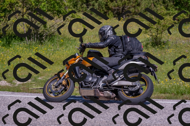 202506021045-DSC_7463_c4_