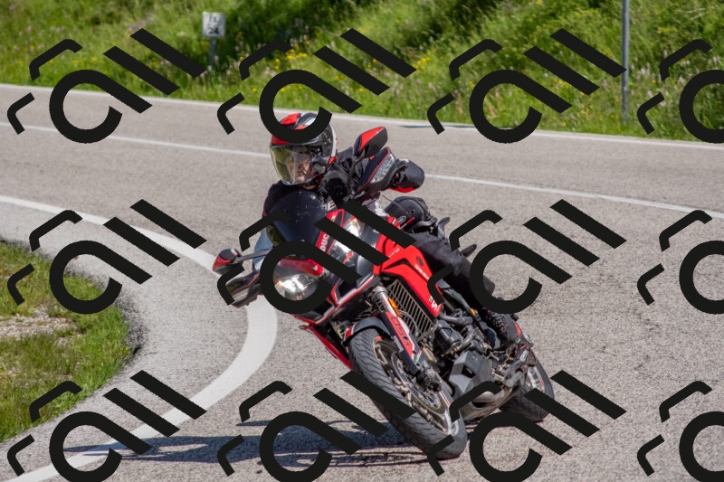 202506021046-DSC_7471_c4_