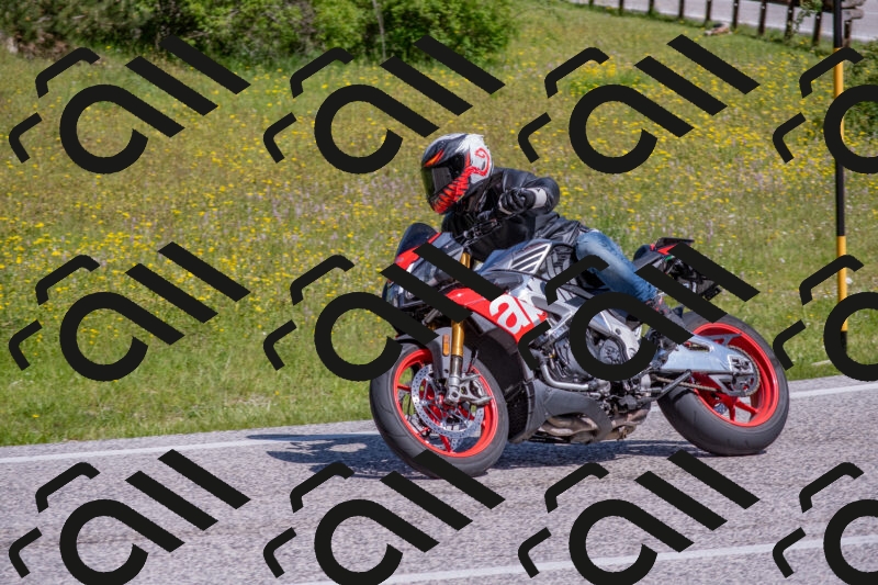 202506021046-DSC_7479_c4_