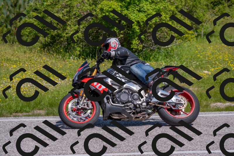 202506021046-DSC_7480_c4_