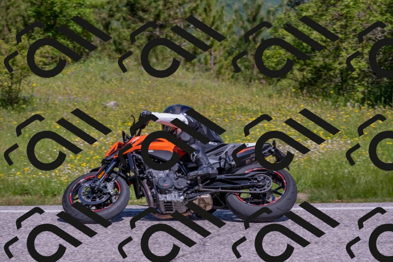 202506021046-DSC_7482_c4_