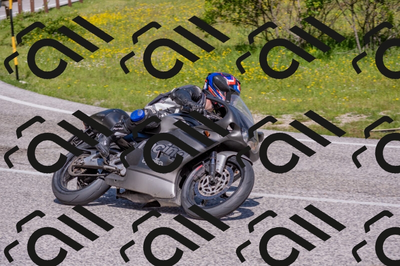 202506021046-DSC_7489_c4_