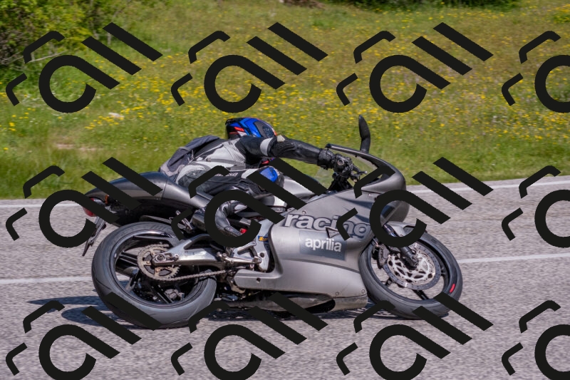 202506021046-DSC_7490_c4_