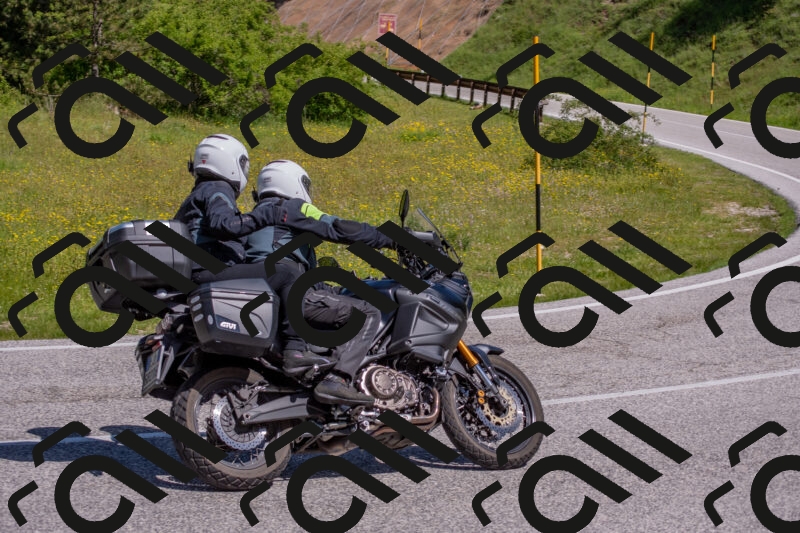 202506021048-DSC_7495_c4_