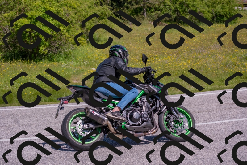 202506021048-DSC_7502_c4_