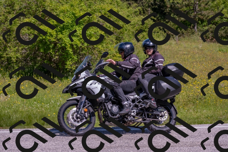 202506021048-DSC_7504_c4_