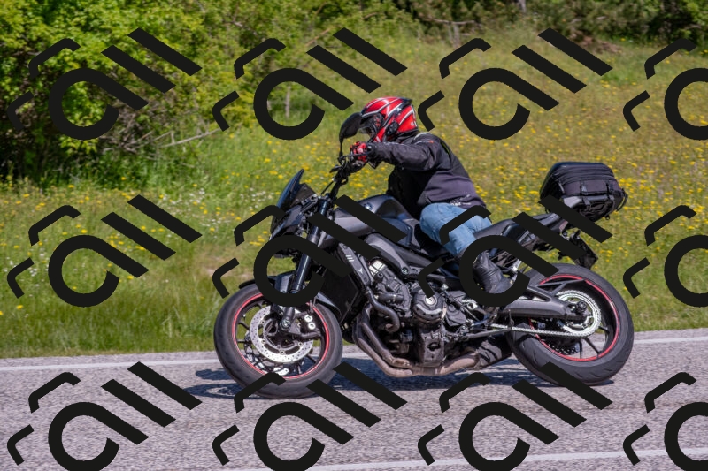 202506021049-DSC_7515_c4_