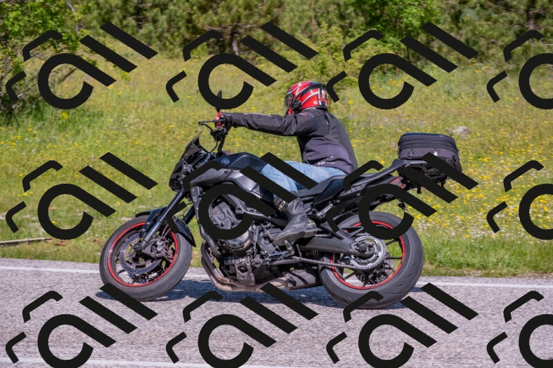 202506021049-DSC_7516_c4_