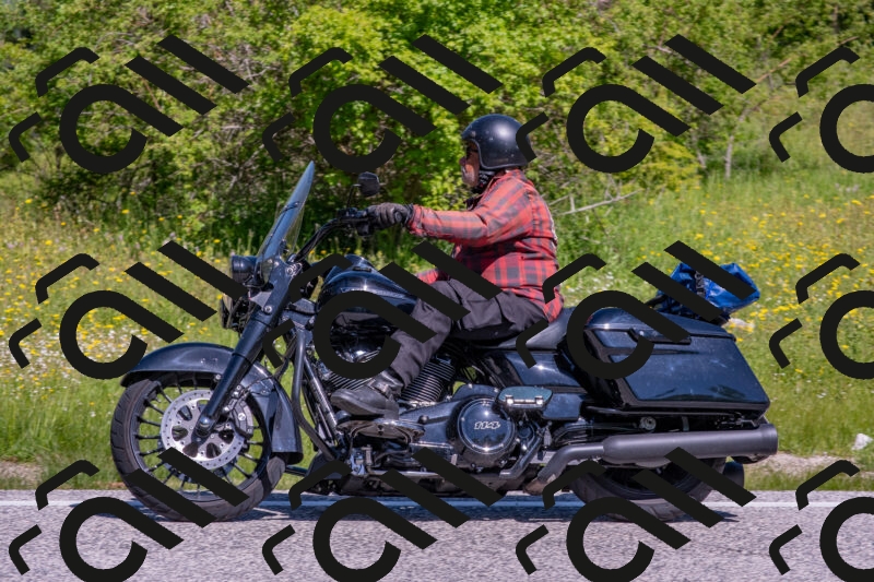 202506021049-DSC_7521_c4_