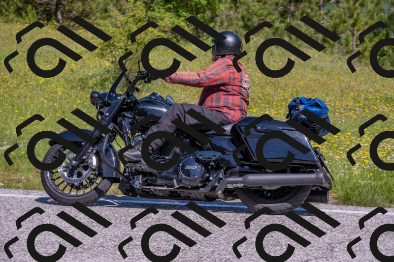 202506021050-DSC_7522_c4_