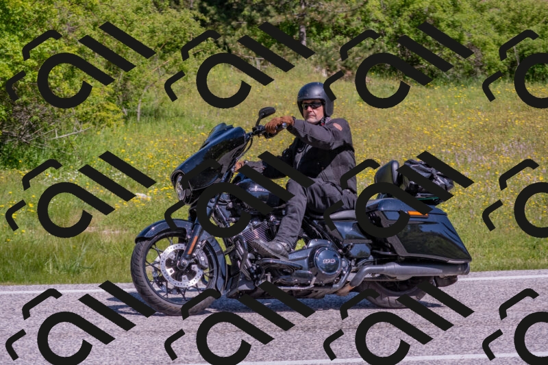 202506021050-DSC_7524_c4_