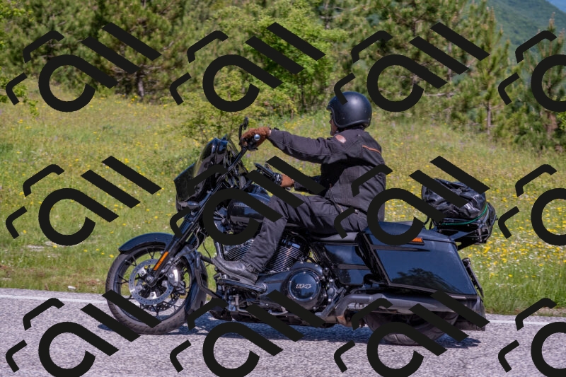 202506021050-DSC_7525_c4_