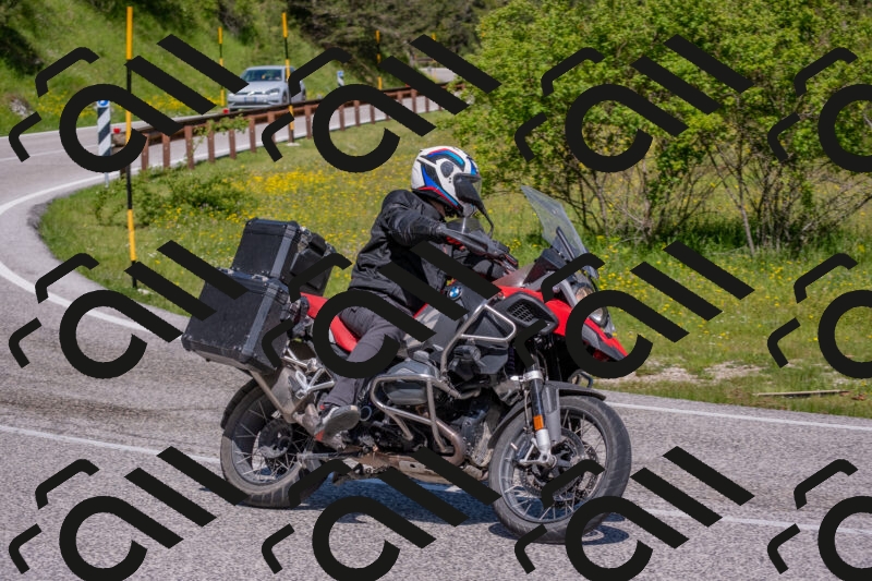 202506021052-DSC_7530_c4_